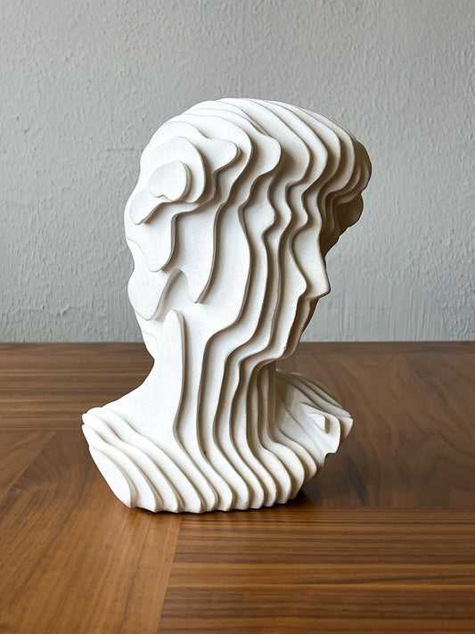 FIGURA DAVID