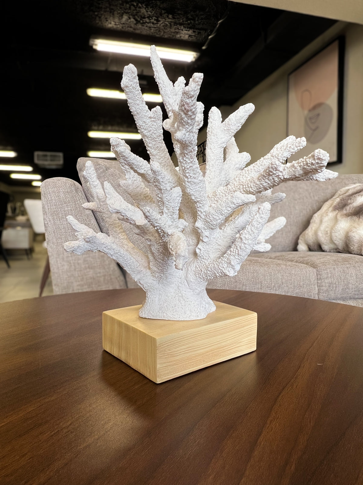 FIGURA CORAL